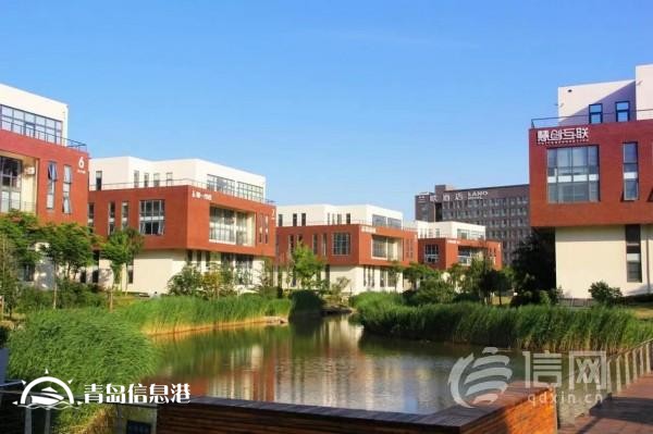 青島網(wǎng)谷打造低密度花園式辦公園區(qū) 已引進(jìn)企業(yè)240余家