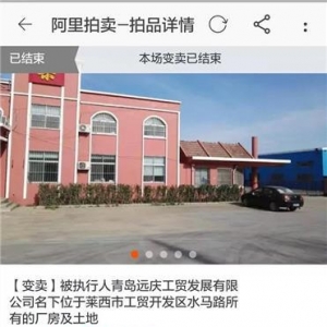 萊西法院首起司法網(wǎng)絡(luò)變賣成交