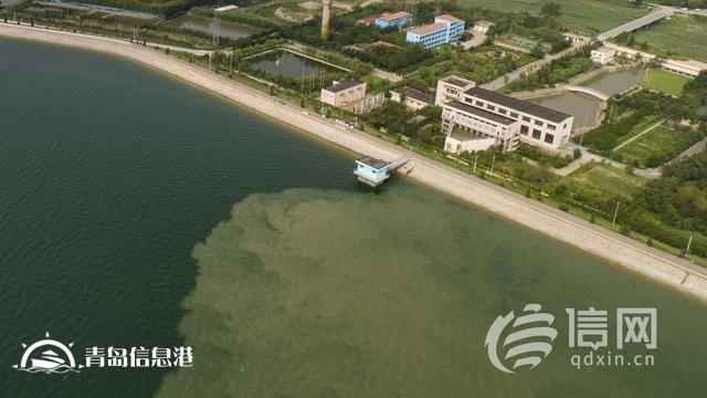 水資源匱乏城市亟需“解渴” 青島超前謀劃編織大水網(wǎng)