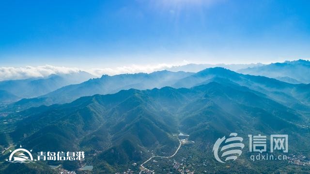 青島國際種都核心區(qū)構(gòu)建種業(yè)高地 即墨區(qū)助推青島建設(shè)農(nóng)業(yè)強(qiáng)市
