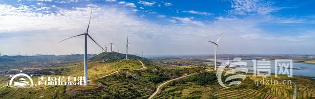 青島國際種都核心區(qū)構(gòu)建種業(yè)高地 即墨區(qū)助推青島建設(shè)農(nóng)業(yè)強(qiáng)市