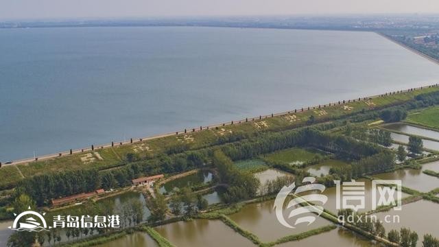 信號(hào)山：解淡水之渴 一張“大水網(wǎng)”正在青島繪就
