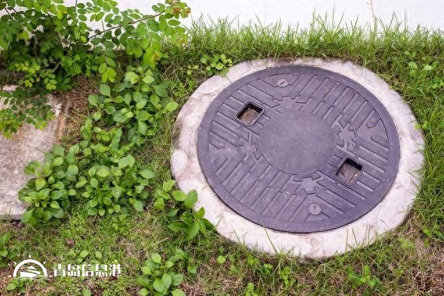 假如“信網(wǎng)不信訪”的阮主任舉報(bào)內(nèi)容屬實(shí)，對人民的傷害有哪些？