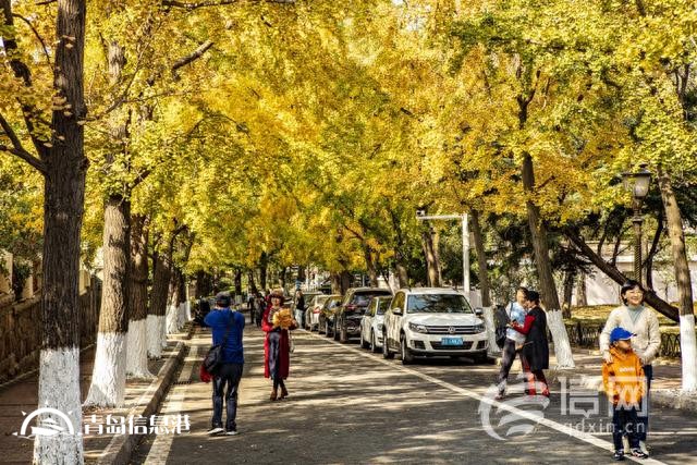 信號(hào)山: 留住城市記憶延續(xù)歷史文脈 青島發(fā)布重磅規(guī)劃
