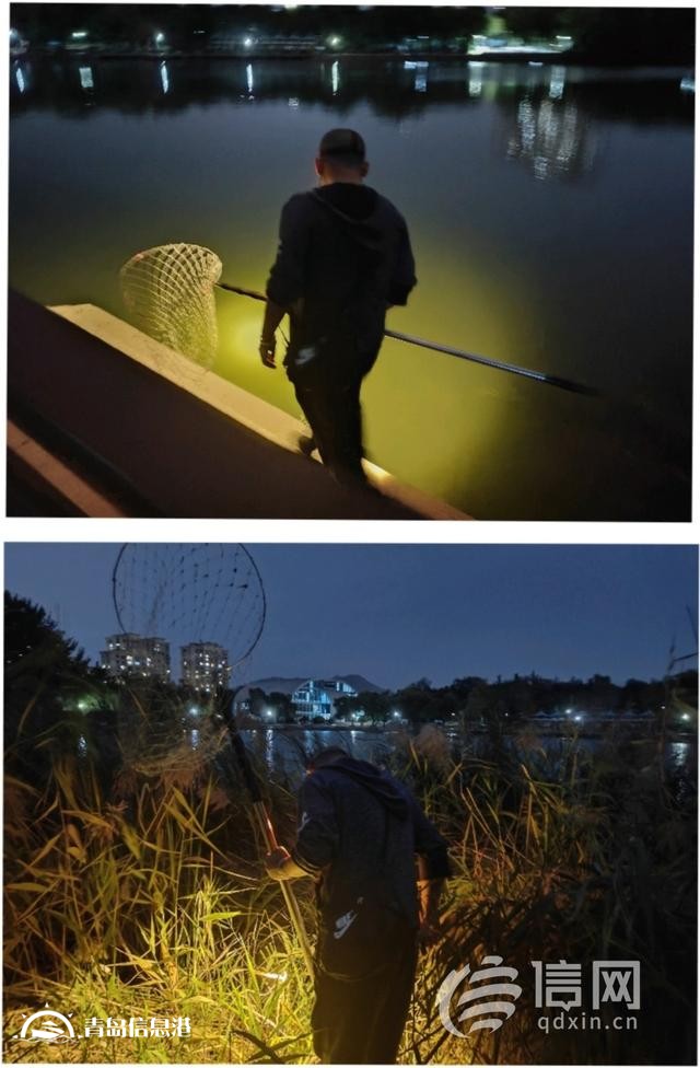 在人工湖捕魚(yú)還用上“射魚(yú)鏢” 李村公園的這一幕不安全還違禁