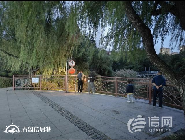 在人工湖捕魚(yú)還用上“射魚(yú)鏢” 李村公園的這一幕不安全還違禁