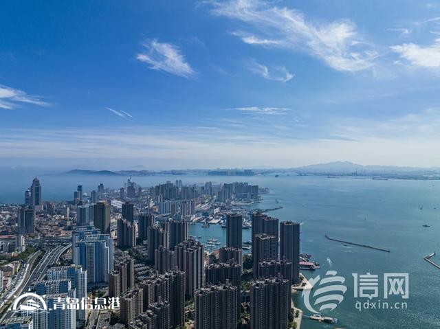 向“新”而行增強發(fā)展新動能 青島新質(zhì)生產(chǎn)力加速起勢