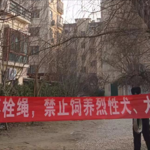 牽好“安全繩”！李園街道綜合行政執(zhí)法中隊(duì)持續(xù)開(kāi)展文明養(yǎng)犬專(zhuān)項(xiàng)整治行動(dòng) ...