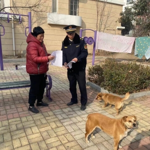 同和執(zhí)法中隊開展“文明養(yǎng)犬”執(zhí)法巡查工作 促進(jìn)“人犬和諧共處” ...