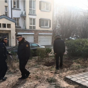 平度市東閣街道執(zhí)法中隊(duì)集中整治占綠毀綠，營造整潔、美好的人居環(huán)境 ...