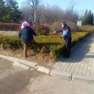 同和執(zhí)法中隊:“嚴格執(zhí)法，守護綠色家園”園林綠化執(zhí)法巡查工作 ...