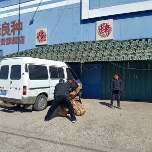 提升村容村貌 共建美麗鄉(xiāng)村