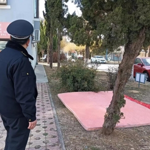 平度市東閣街道執(zhí)法中隊(duì)整治占綠毀綠，守護(hù)美好家園