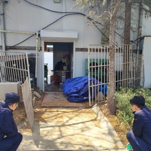 平度市東閣街道執(zhí)法中隊(duì)：隨意損壞植被，罰