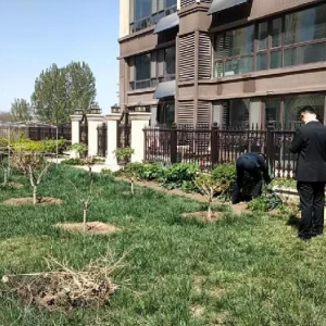 整治小區(qū)種菜亂象 鳳臺中隊守護居住環(huán)境
