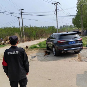 鳳臺(tái)執(zhí)法中隊(duì)：文明養(yǎng)犬，你我共行