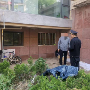 查處毀綠行為，還居民美好家園