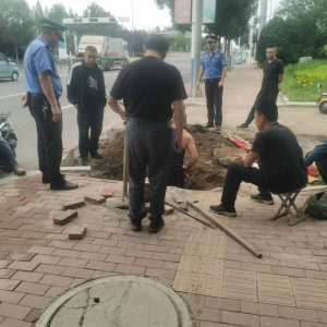 李園街道綜合行政執(zhí)法中隊(duì)：查處擅自挖掘城市道路在行動(dòng)