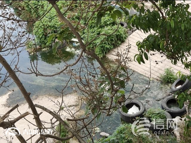 小區(qū)隔壁污水彌漫 臺東街道承諾將盡快協(xié)調(diào)更換管路