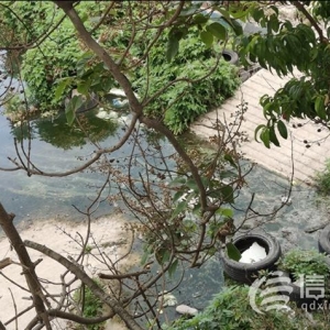 小區(qū)隔壁污水彌漫 臺東街道承諾將盡快協(xié)調(diào)更換管路