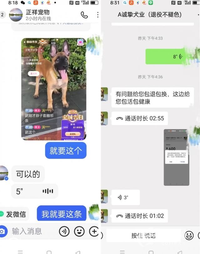快手直播賣寵物卻讓“微信上聊” 私下交易貨不對(duì)板