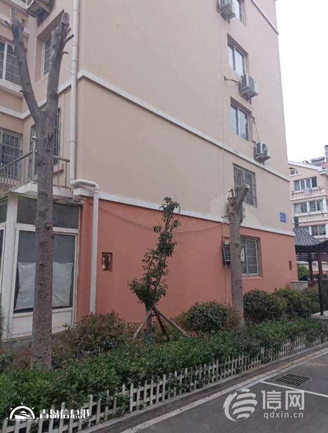 銀河山莊小區(qū)樹木被“剃光頭” 業(yè)主質(zhì)疑修剪太粗暴了
