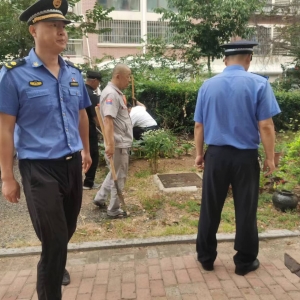 李園街道綜合行政執(zhí)法中隊：清理“小菜園” 美化“大家園” ...