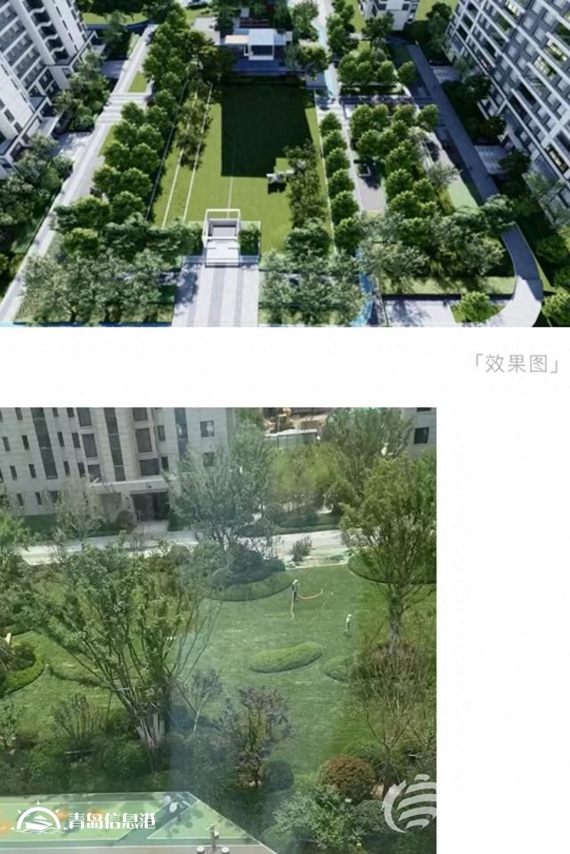 業(yè)主質(zhì)疑金茂府交付標(biāo)準(zhǔn)減配 開發(fā)商將對綠化景觀提升