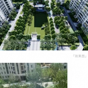 業(yè)主質(zhì)疑金茂府交付標準減配 開發(fā)商將對綠化景觀提升