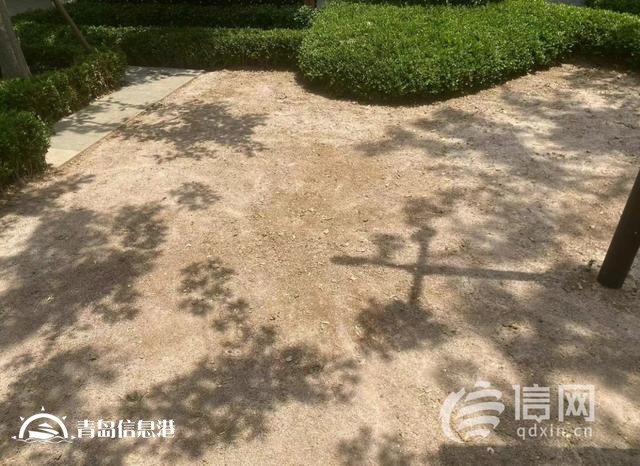 業(yè)主質(zhì)疑金茂府交付標(biāo)準(zhǔn)減配 開發(fā)商將對綠化景觀提升