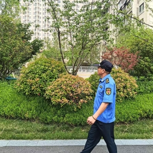 平度市東閣街道執(zhí)法中隊(duì)嚴(yán)查占綠毀綠，讓城市更美好