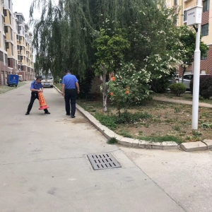 守護(hù)園林綠化：同和執(zhí)法中隊(duì)在行動(dòng)