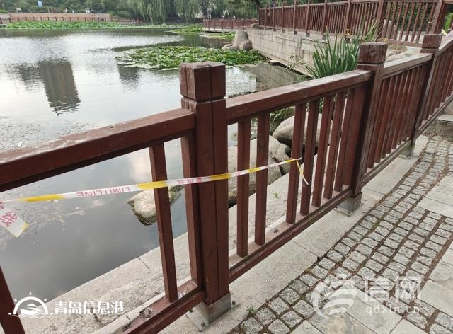 浮山后錦鯉湖欄桿破損 工作人員將加強(qiáng)巡視勸離垂釣者