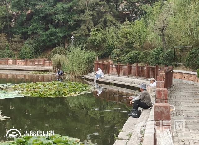 浮山后錦鯉湖欄桿破損 工作人員將加強(qiáng)巡視勸離垂釣者