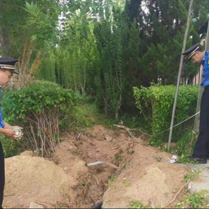 毀綠行為不可取，綜合執(zhí)法護(hù)綠色