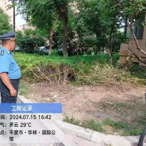 李園街道綜合行政執(zhí)法中隊(duì)“執(zhí)法進(jìn)社區(qū) 綠化水平再提升”