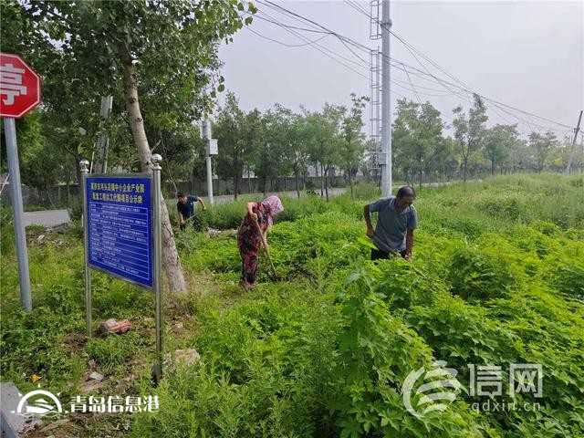 青島市首個以工代賑中央預(yù)算內(nèi)投資項目正式開工