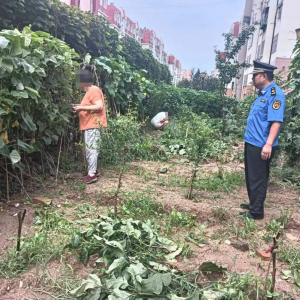 平度市東閣街道執(zhí)法中隊(duì)解決群眾訴求，多舉措整治占綠毀綠行為 ...