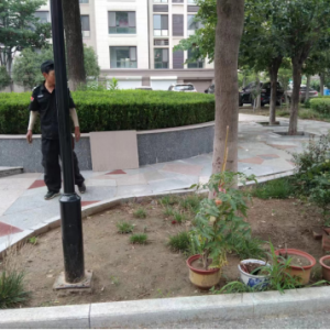 同和執(zhí)法中隊(duì)：加強(qiáng)園林綠化執(zhí)法巡查，守護(hù)城市綠色空間