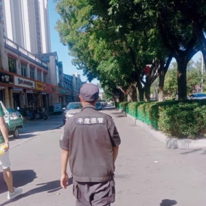 同和執(zhí)法中隊(duì)園林綠化執(zhí)法巡查工作：繪就城市綠色畫(huà)卷
