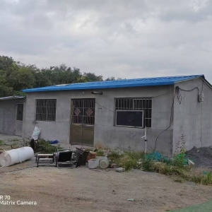 李園街道綜合行政執(zhí)法中隊(duì)：重拳出擊 違建必拆