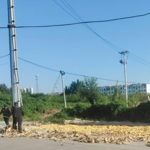 同和執(zhí)法中隊(duì)“信用+執(zhí)法”違規(guī)曬糧執(zhí)法巡查