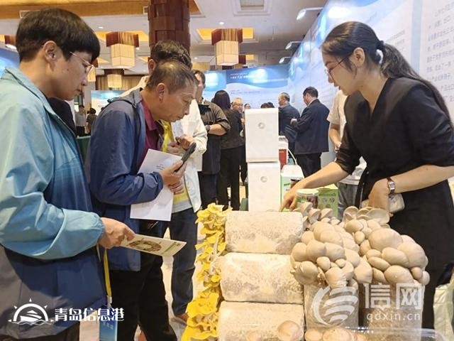 新品種新技術(shù) 國(guó)家食用菌產(chǎn)業(yè)技術(shù)體系“三新”交流會(huì)在萊西舉辦