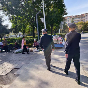 以法治之力 繪就美麗市容新畫卷