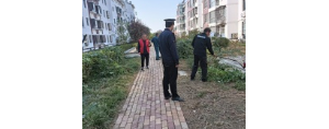 李園街道綜合行政執(zhí)法中隊(duì)：對(duì)侵占綠地種菜行為說(shuō)“不”！ ...