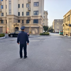 同和執(zhí)法中隊園林綠化執(zhí)法巡查：守護轄區(qū)的綠色