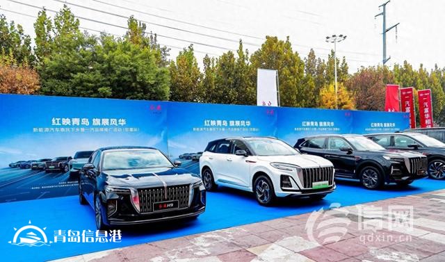 新能源汽車惠民下鄉(xiāng)暨一汽品牌推廣活動(dòng)（即墨站）舉行