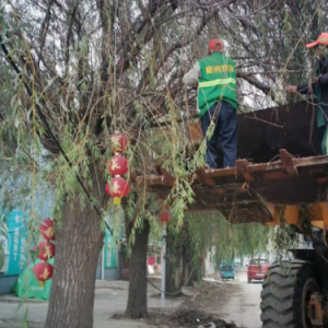 及時修剪行道樹，消除安全隱患