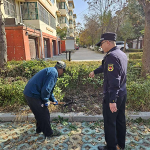 整治擅自破壞綠化行為，共建綠色家園