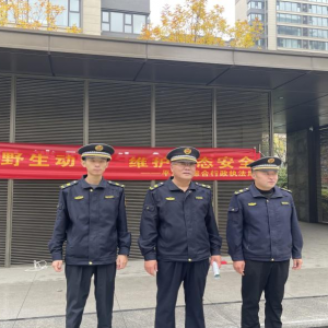 保護(hù)野生動(dòng)物,倡導(dǎo)人與自然和諧共生理念